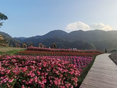 -广州市石门国家森林公园