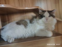 -白兔子密室(长寿路店)