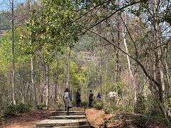 -天台山赤城山景区