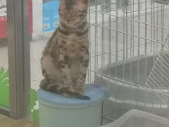 -天幕新彩云国际影城(激光巨幕店)