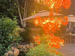 -后湖小院·乡野田园菜