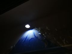 门面-茶是一枝花泡茶店