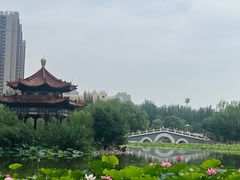 -青城公园