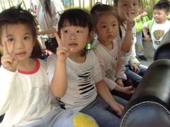 -岔道口幼儿园