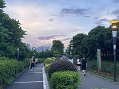 -立新湖公园