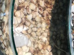 -同道蒸汽海鲜烧烤自助(刘庄夜市店)