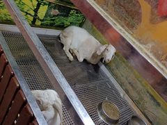 -上海大自然野生昆虫馆(东方明珠·爬宠昆虫探索中心)