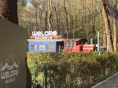 -WeLope紫金山探险公园