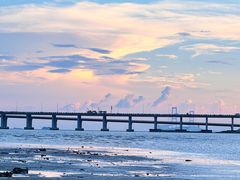 -宝安西湾红树林湿地公园