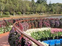 -上海鲜花港