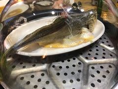 -黄寺蒸汽海鲜(黄寺大街店)
