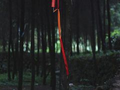 -公盂村
