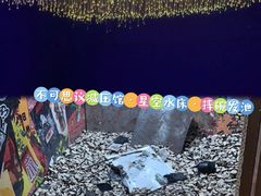 -不可思议减压馆·解压博物馆·摔碗发泄·团建定制