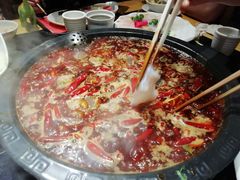 -一斗火锅·招财羊毛肚(泰吉滨江店)