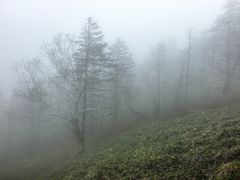 -凤凰山国家森林公园