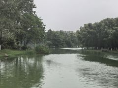 -滨湖塘西河公园
