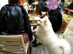 -RAC BAR(安福路店)