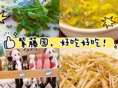 -紫藤园·天目湖大鱼头(南山竹海店)