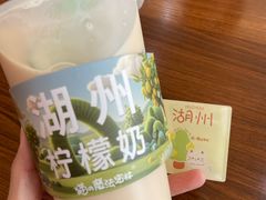 -猫的魔法密林(衣裳街店)