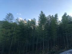 -天下银坑