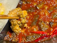 -阳阳老火锅(小南门店)