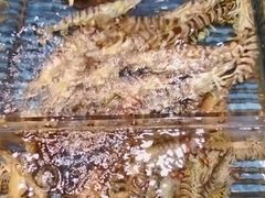 -小厨师·二十年沈家门小海鲜(百井坊巷店)