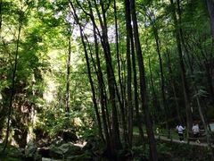 -牛背梁国家森林公园