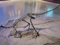 -自贡恐龙博物馆