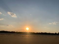 -日照海滨国家森林公园