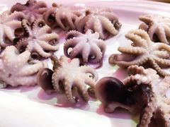 白灼八爪鱼-东家小院金汤酸菜鱼(南阳路店)