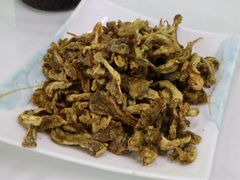 -马旭土鸡焖花卷新疆菜大盘鸡·真域顺西域美食(天马大道店)