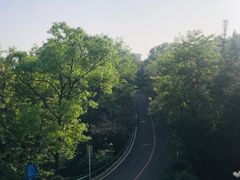 -棒棰岛宾馆景区