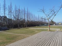 -前小桔亲子创意农场·草莓采摘·露营烧烤