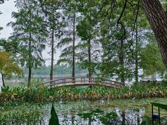 -东湖落雁景区