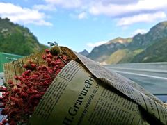 -塞罕坝国家级自然保护区