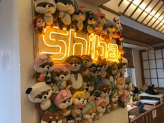 -豆柴町-柴犬主题狗咖(红鼎国际C座店)
