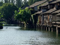 -滋啦啦油煎铺一乌镇萝卜丝饼