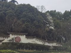 -南山植物园