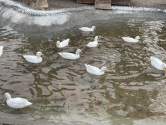 -珠海海泉湾神秘岛亲子乐园