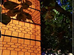 -绿茶餐厅(燕郊永旺店)