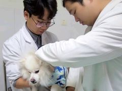 -宠颐生汉谟拉比宠物医院