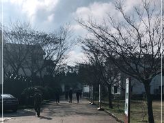 -四明山国家森林公园