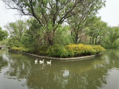 -洛阳市隋唐城遗址植物园