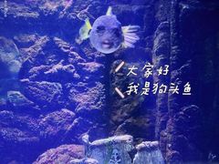 -常州海昌海洋探索馆