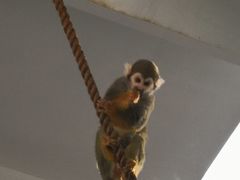 -西安秦岭野生动物园