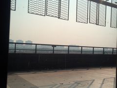 -望湘园·洞庭渔宴(浦江欢乐颂店)
