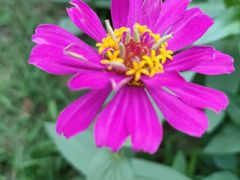 -不倒翁·徽天下名菜楼(马鞍山路店)