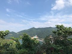 -酒仙湖景区