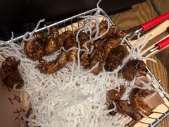 -鸽子窝(青塔店)