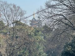 -北极阁公园